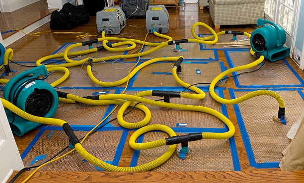 Professional Storm Water Damage Restoration technician working in Polk City, FL